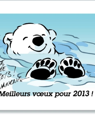 Meilleurs vœux pour 2013 !